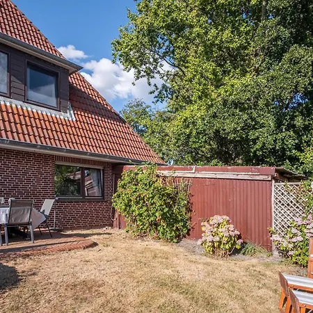 7 Kustenkonig